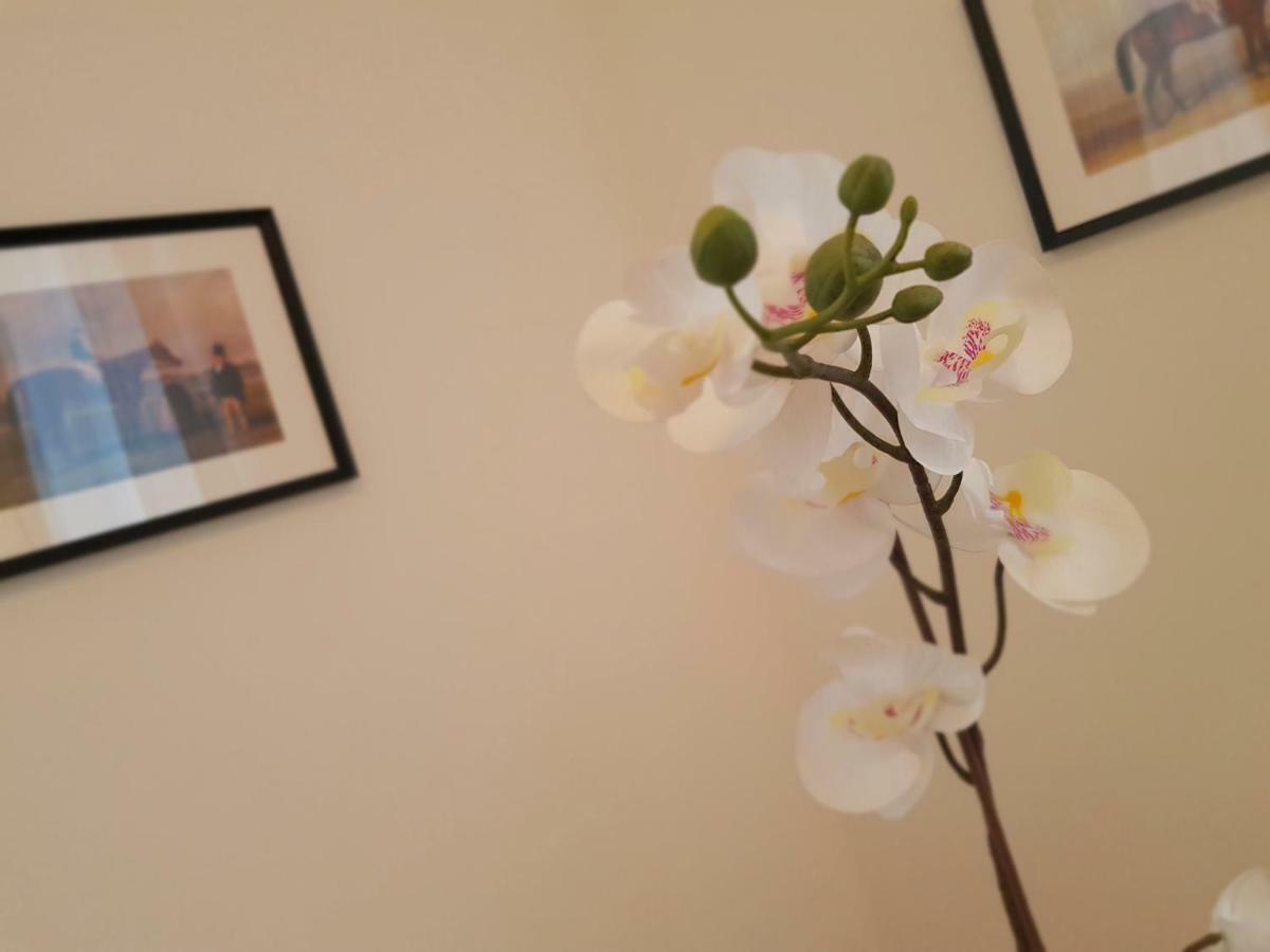 St Paul House Boutique & Appartamento